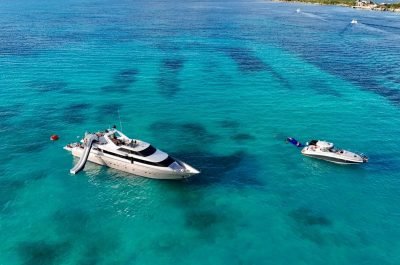 1f71f099-e079-4eea-b80a-cfd33b312de4